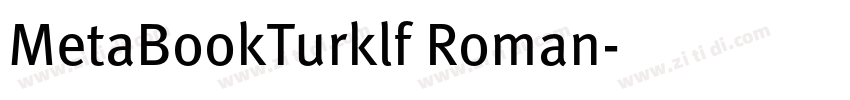 MetaBookTurklf Roman字体转换